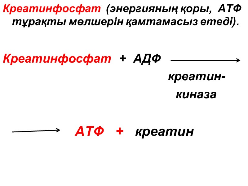 Креатинфосфат  (энергияның қоры,  АТФ тұрақты мөлшерін қамтамасыз етеді).   Креатинфосфат 
